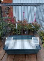 Vogelkooi, Dieren en Toebehoren, Ophalen, Vogelkooi