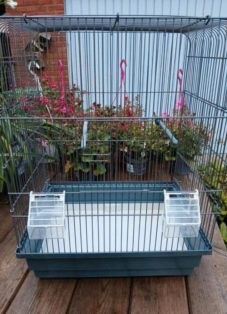 Vogelkooi, Animaux & Accessoires, Oiseaux | Cages & Volières, Cage à oiseaux, Enlèvement