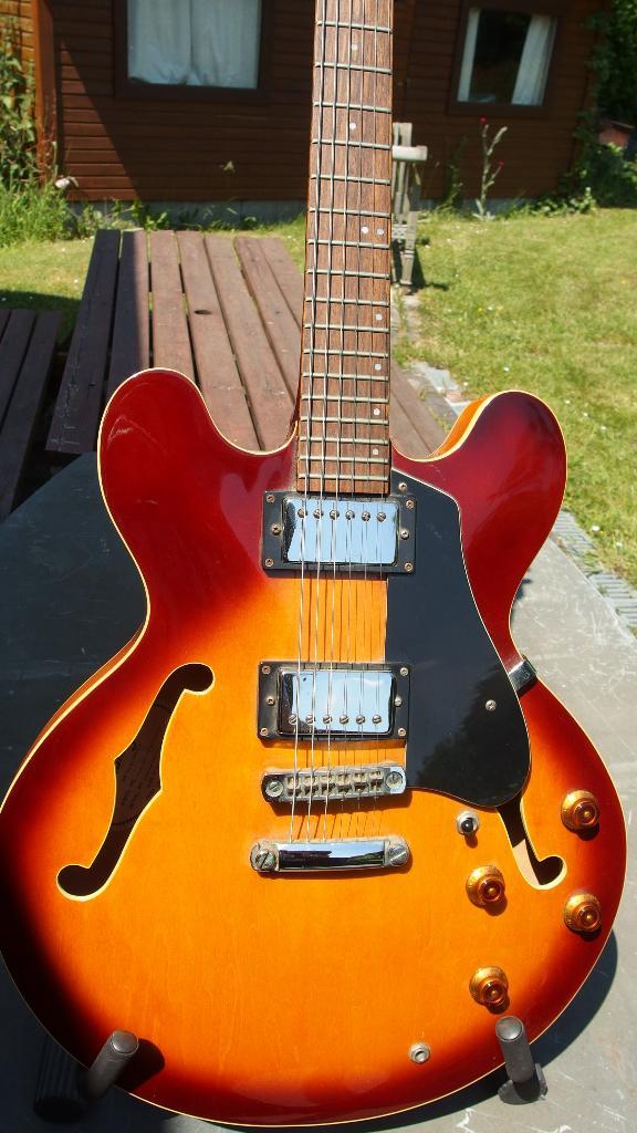 Vantage 635v SB / Arirang necktrough, Muziek en Instrumenten, Snaarinstrumenten | Gitaren | Elektrisch, Zo goed als nieuw, Hollow body