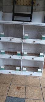 Kooi, Dieren en Toebehoren, Vogels | Hokken en Kooien, Ophalen, Zo goed als nieuw, Hout