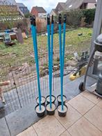 Parkeerstokken, Enlèvement