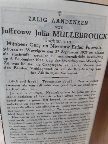 Oorlogsslachtoffer 4, Envoi