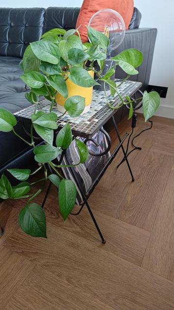Vintage krantenbakje/bijzettafel mozaïek beschikbaar voor biedingen