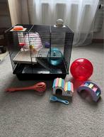 Hamsterkooi met accessoires, Animaux & Accessoires, Rongeurs & Lapins | Cages & Clapiers, Enlèvement, Utilisé, Cage, Hamster
