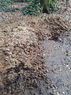 Gratis zuiver paardenmest te westerlo, Tuin en Terras, Aarde en Mest, Ophalen