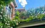 Huis in Champagne, Immo, Buitenverblijven te koop, 271 m², 6 slaapkamers, 43 kWh/jaar, 184 kWh/m²/jaar