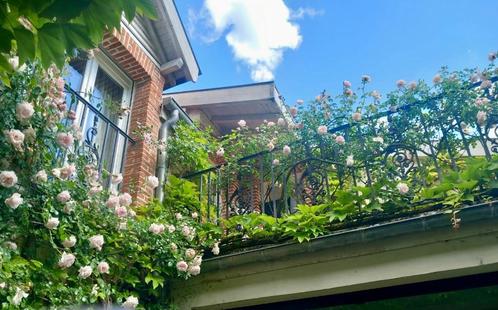 Huis in Champagne, Immo, Buitenverblijven te koop, Villa, D