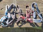 5 verschillende halsters Maat cob, Dieren en Toebehoren, Ophalen of Verzenden, Gebruikt, Overige soorten