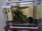 Aquarium 60l, Dieren en Toebehoren, Ophalen