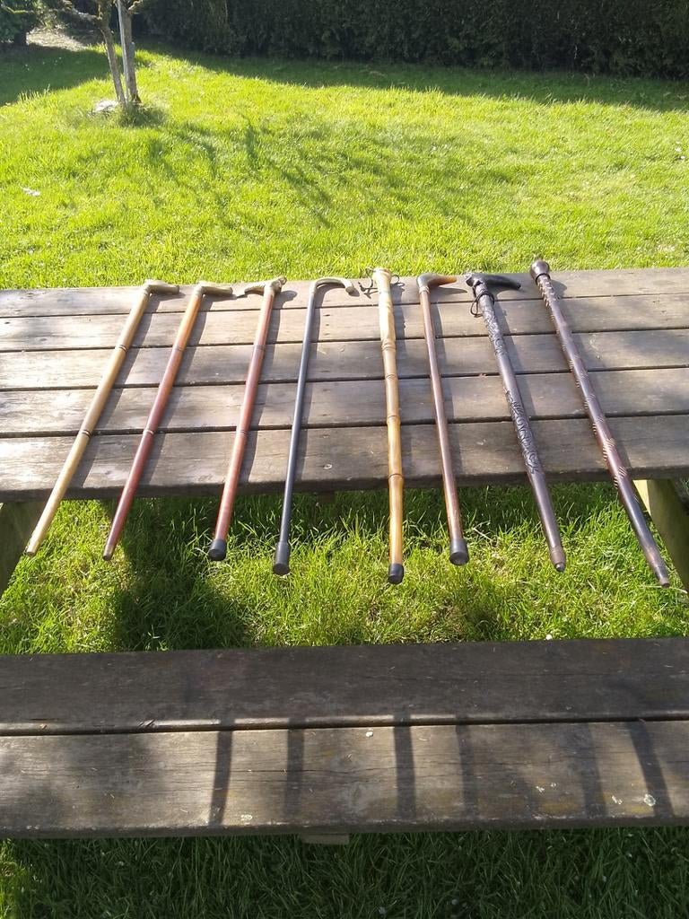 Cannes de marche, Enlèvement