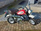 Honda Monkey 50cc comme neuve. Du vrai japonais, Vélos & Vélomoteurs, Enlèvement