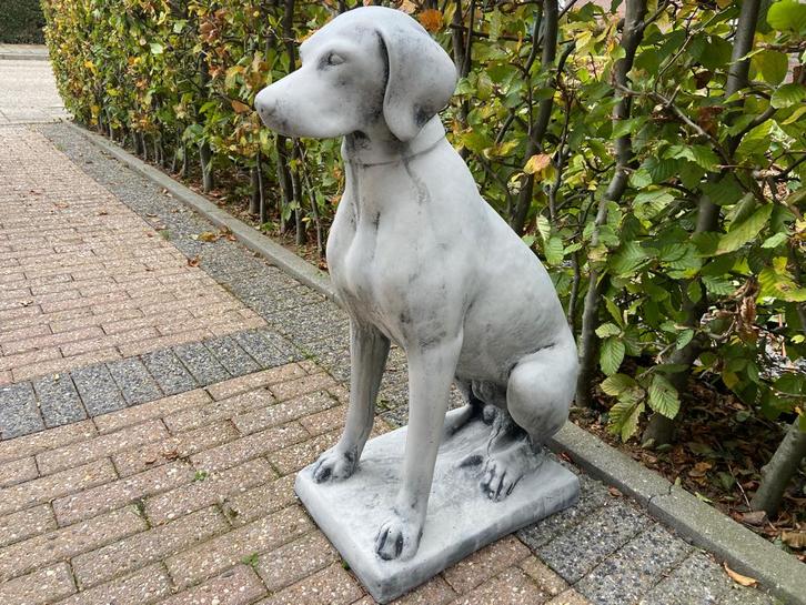 Engelse Jachthond , Pointer , Weimaraner., Tuin en Terras, Tuinbeelden, Nieuw, Dierenbeeld, Beton, Ophalen
