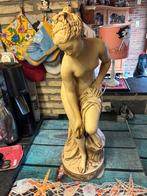 Vénus pudique – Reproduction, Enlèvement