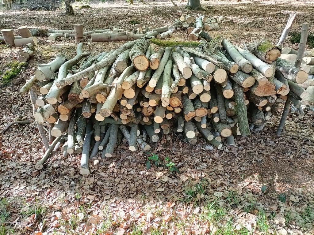 Te koop, Jardin & Terrasse, Bois de chauffage, Enlèvement