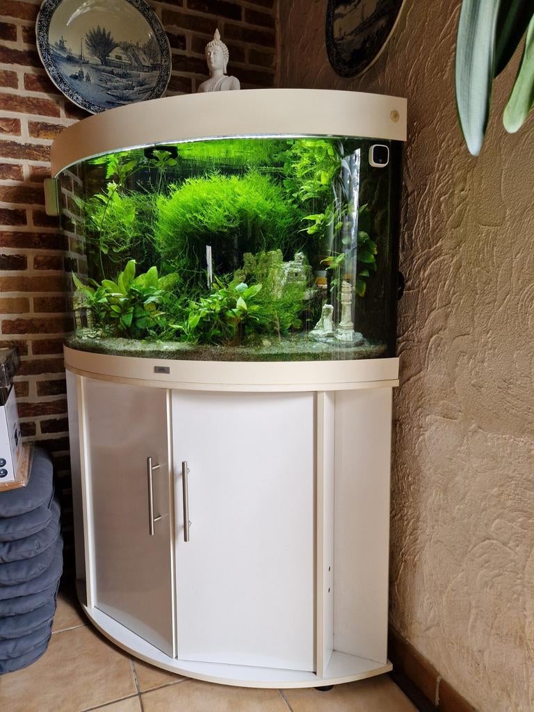 Hoek aquarium  juwel trigon 190. Met planten en kast., Dieren en Toebehoren, Ophalen, Filter, Juwel