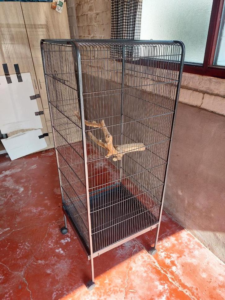 Vogelkoop op wieltjes moet weg, Animaux & Accessoires, Oiseaux | Cages & Volières, Cage à oiseaux, Enlèvement