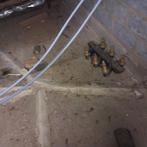 Oude lamp, Tuin en Terras, Ophalen