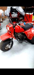 Trike, Motos, Quads & Trikes