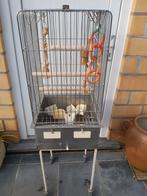 Gage à perroquet, Enlèvement