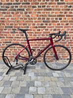 Velo course Sunn 58 Neuf!!!, Fietsen en Brommers, Carbon