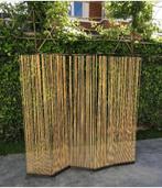 lounge extremis kamerverdeling, Enlèvement