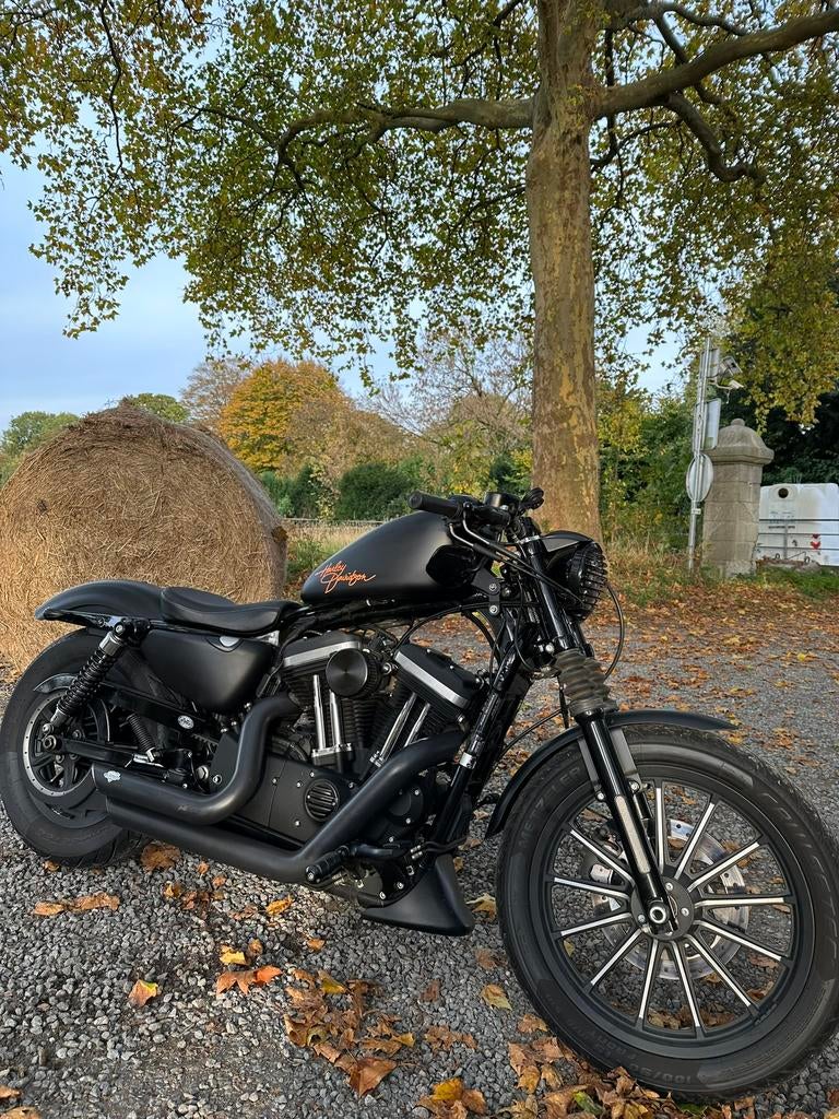 Iron 883, Permis Moto A, 2 cylindres, Particulier, Éclairage LED