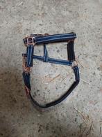 Halster pony, Dieren en Toebehoren, Ophalen