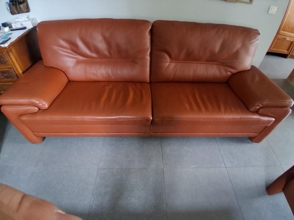 Lederen zetels, Enlèvement