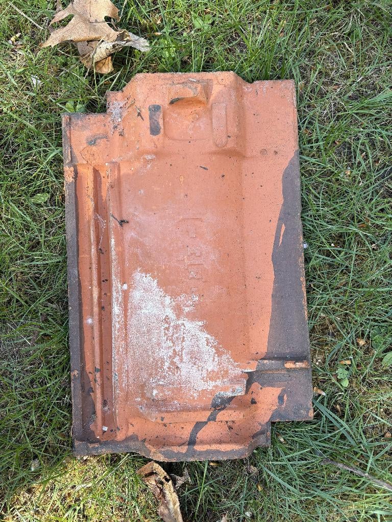 dakpan TTR  GEZOCHT, Doe-het-zelf en Bouw, Ophalen, Dakpannen