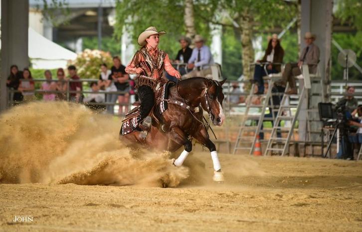 Aqha ruin, Dieren en Toebehoren, Paarden, Ruin, Onbeleerd, Minder dan 160 cm, 0 tot 2 jaar, Westernpaard, Met stamboom, Gechipt