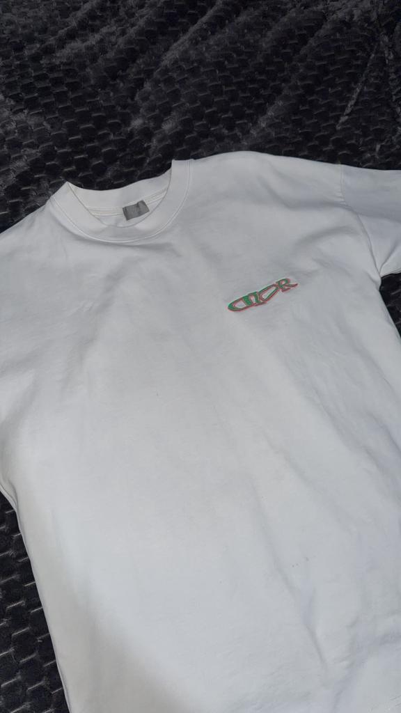 Dior shirt, Kleding | Heren, T-shirts, Ophalen, Zo goed als nieuw, Maat 52/54 (L)