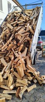 Verse wilg,  stammenhout. Zie foto's., Ophalen of Verzenden