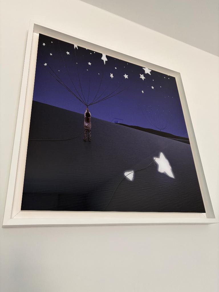 Photographie dans les coins jaunes. Alastair Magnaldo, Enlèvement