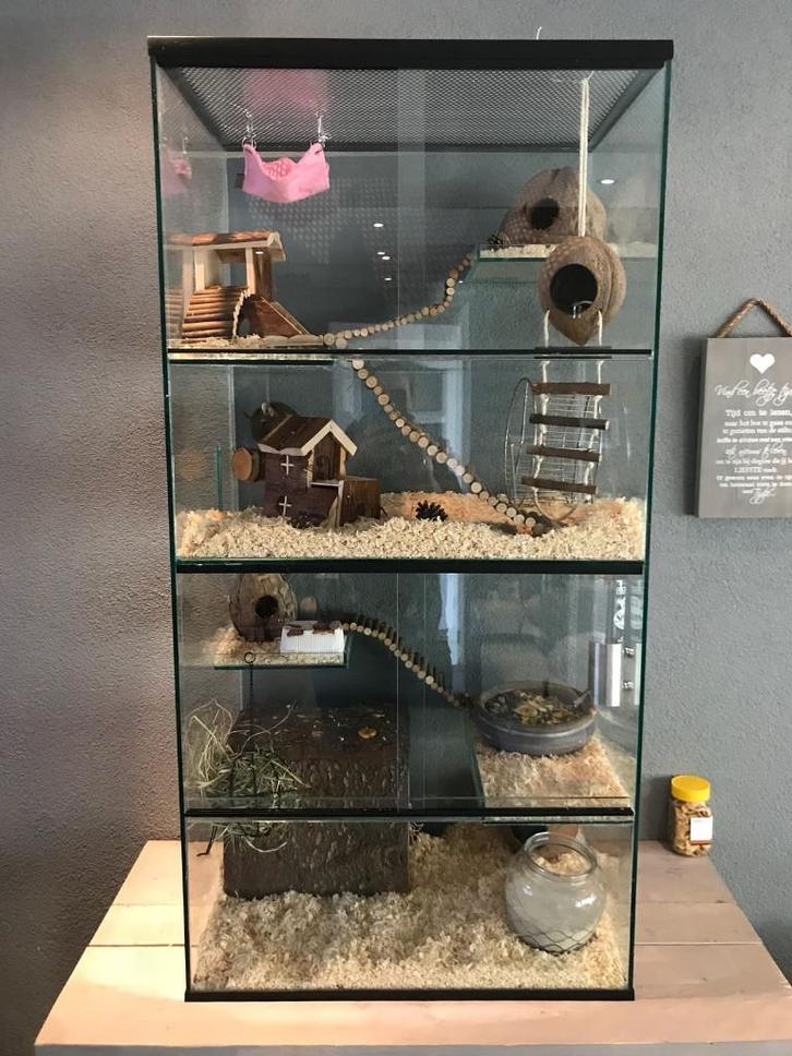 Terrarium glas voor stekelmuis gerbil en degoe, Dieren en Toebehoren, Knaagdieren en Konijnen | Hokken en Kooien, Nieuw, Hok, 90 cm of meer