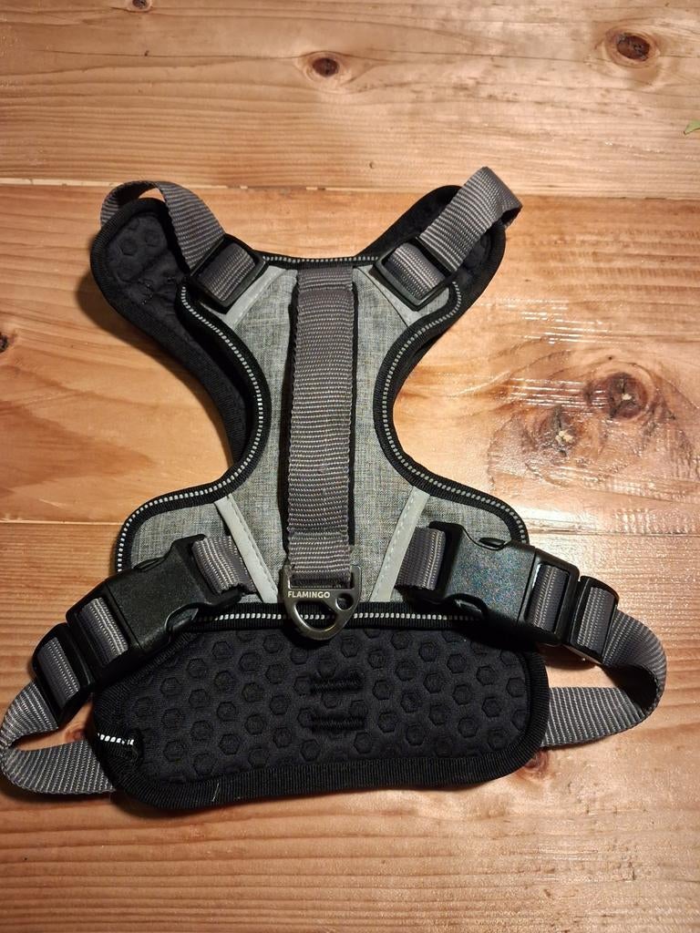 Harnas hond, Enlèvement