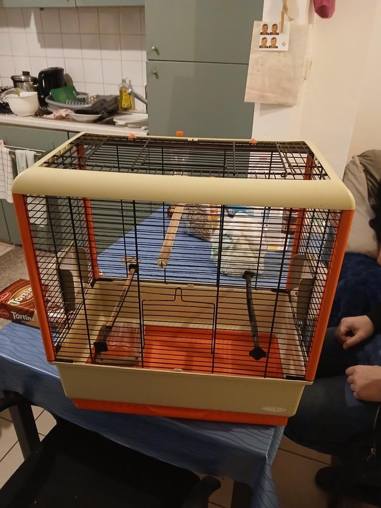 Vogel kooi te koop, Dieren en Toebehoren, Vogels | Hokken en Kooien, Ophalen