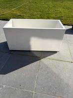 Elho plantenbak wit (Elho vivo), Ophalen, Gebruikt, 60 tot 100 cm, Rechthoekig