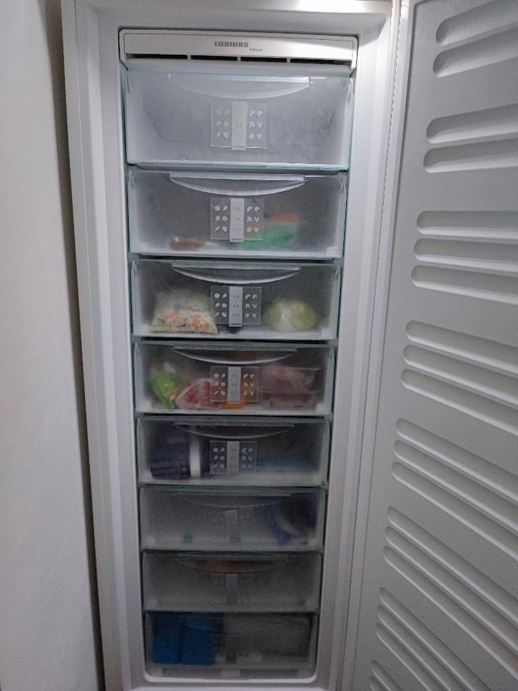 Liebherr GNP 4166 Premium NoFrost vrieskast – 351 liter, Elektronische apparatuur, Vriezers en Diepvrieskisten, Gebruikt, Vrijstaand