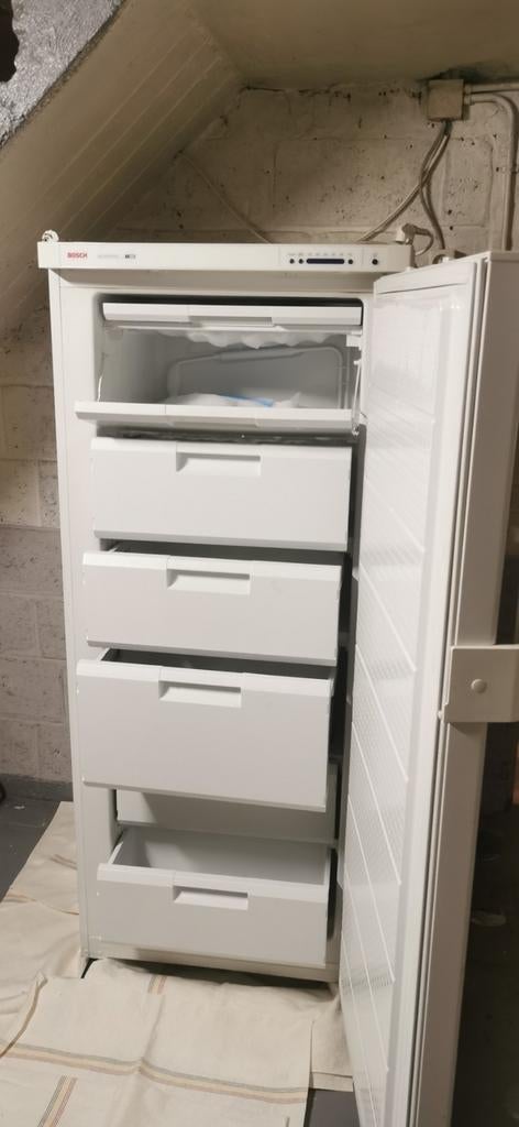 Congélateur BOSCH, Electroménager, Congélateurs, Enlèvement, Congélateur