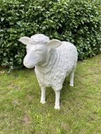 (Tuin)Beeld texel schaap, Wit, tuin, boerderij, vijver 65cm, Tuin en Terras, Ophalen, Nieuw, Kunststof, Dierenbeeld