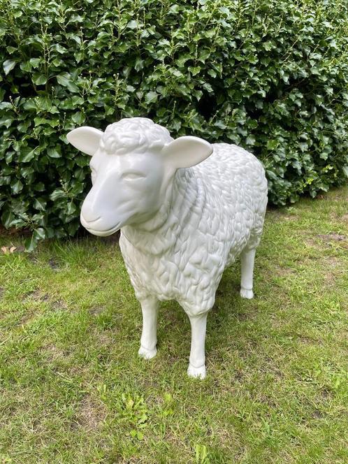 (Tuin)Beeld texel schaap, Wit, tuin, boerderij, vijver 65cm, Tuin en Terras, Tuinbeelden, Nieuw, Dierenbeeld, Kunststof, Ophalen