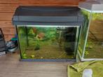 Aquarium, Dieren en Toebehoren, Vissen | Aquaria en Toebehoren, Ophalen, Zo goed als nieuw