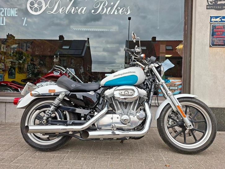 Harley XL883L très basse -2017- 7300 km, Motos, Motos | Harley-Davidson, Entreprise, Chopper, plus de 35 kW, 2 cylindres, Enlèvement