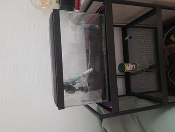 Aquarium met toebehoren beschikbaar voor biedingen