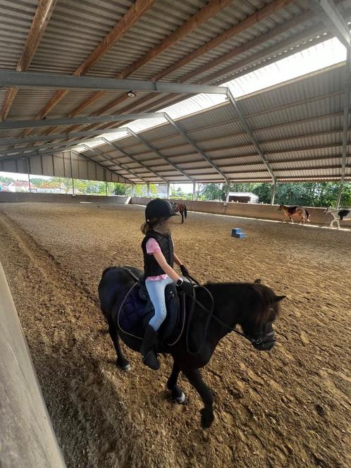 Super brave en mooie zwarte A-pony merrie, Dieren en Toebehoren, Pony's, Merrie, Niet van toepassing, A pony (tot 1.17m), Dressuurpony