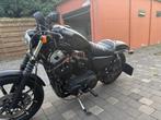 HARLEY - IRON 883 - XL2 - Motorfiets, Motoren, Bedrijf, Overig, HARLEY
