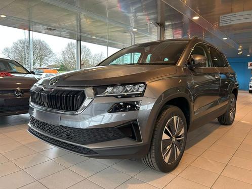 Skoda Karoq Selection (automaat), Auto's, Skoda, Bedrijf, Te koop, Karoq, ABS, Airbags, Airconditioning, Android Auto, Apple Carplay