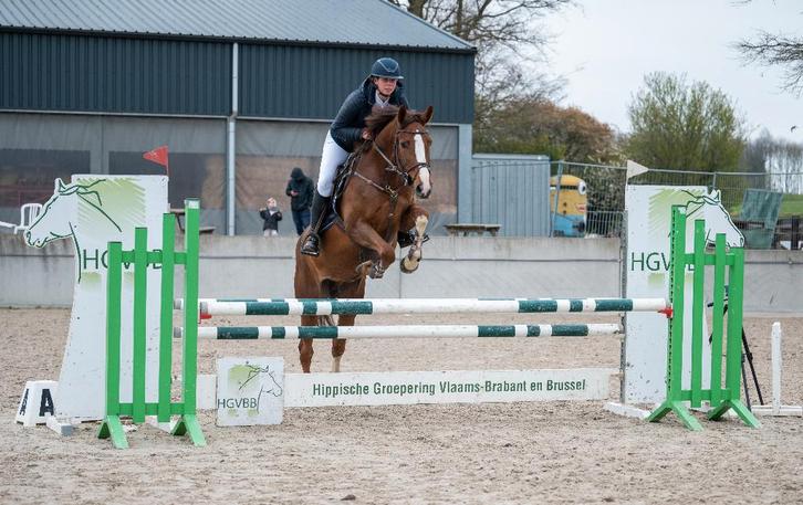Zadelmak maken/Trainen/doorrijden van (jonge) paarden, Animaux & Accessoires, Chevaux, Ne s'applique pas