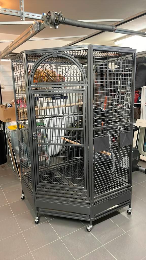 Montana Denver Antiek hoekhooi, Animaux & Accessoires, Oiseaux | Cages & Volières, Comme neuf, Enlèvement