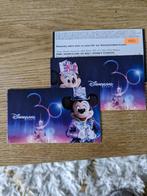 Disneyland, Tickets & Billets, Ticket ou Carte d'accès, Trois personnes ou plus
